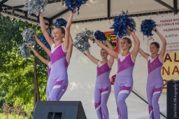 falunap2014_21_20180901